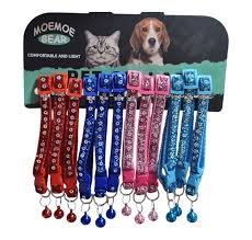 yavru-zilli-evcil-hayvan-tasmasi